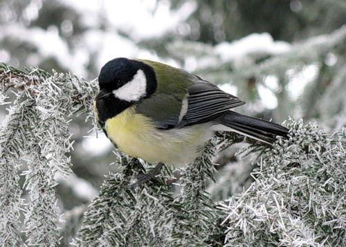 Анна Типаева