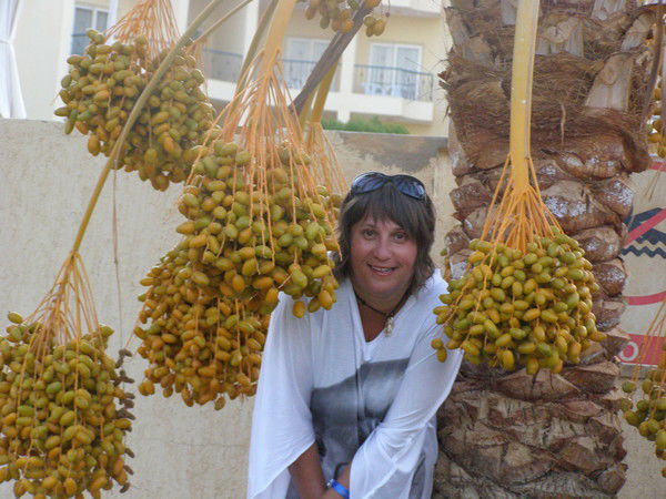 Вольха Редная