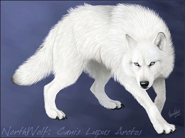 Геннадий Петренко