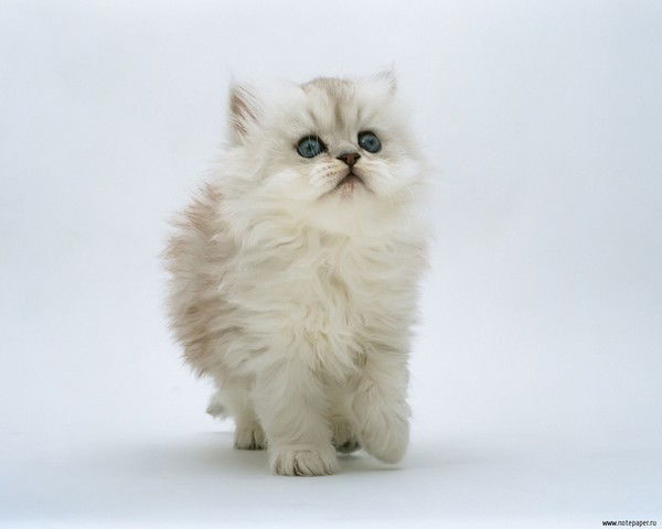 Лілія Козар