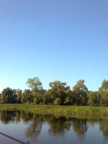 Вадим Морозов