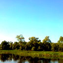 Вадим Морозов