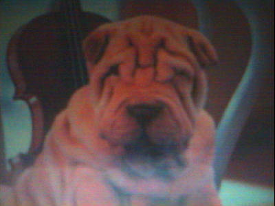 Равис Азаматов