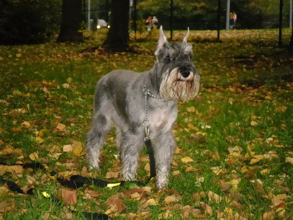 Нина Тимохина