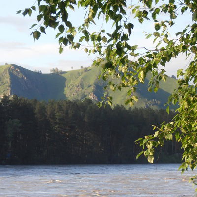 Настя Орлова