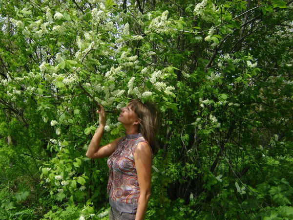 Н А Д Е Ж Д А