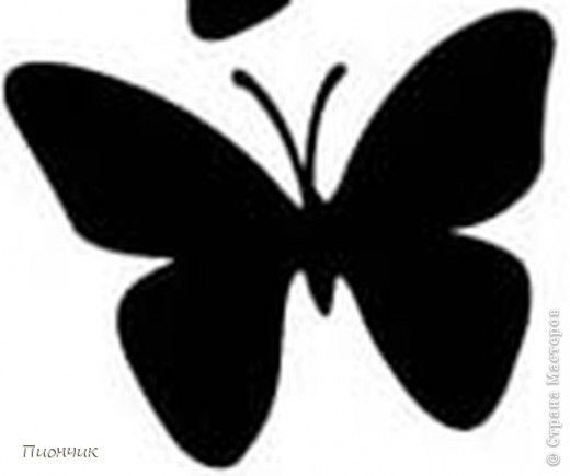 Вероника Сиротина (Барыкина)