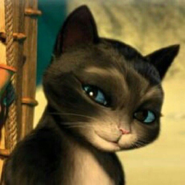 Ольга Шаркова