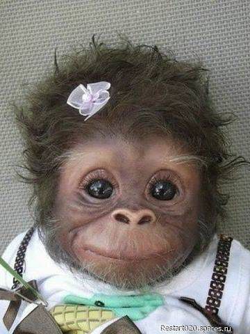 Валера Удовкин