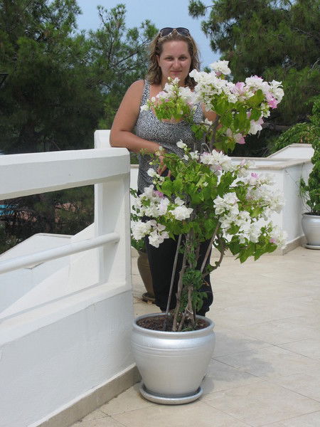 Екатерина Татарова