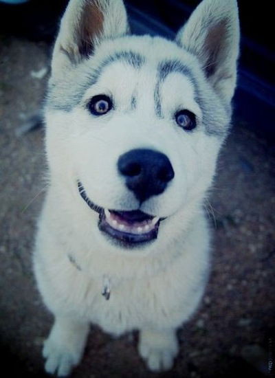 Рита Сакович