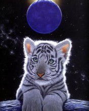 Святослав Кобцев