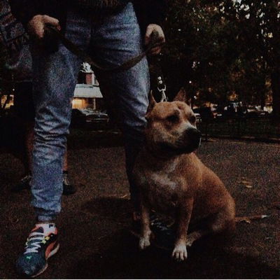 Дмитрий Антипов