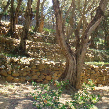 Татьяна Морох