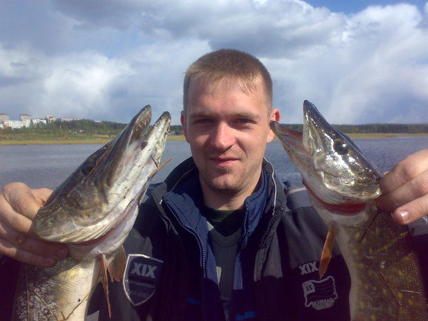 Александр Демиденко