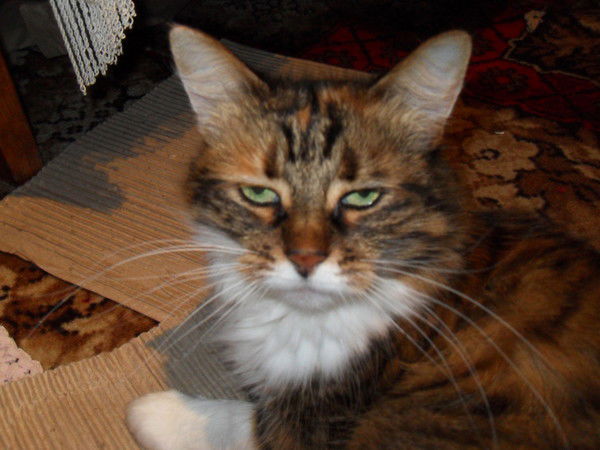 Валерий Демяшин