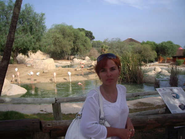 Наталья Борисова