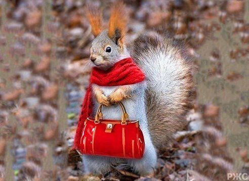 Наталия Булахова