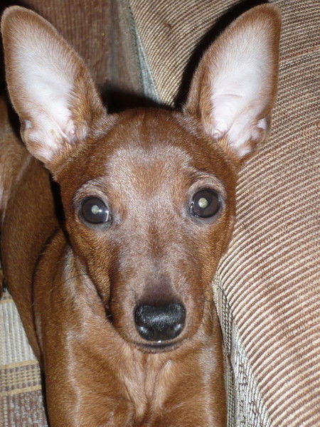 Евгений Булдаков