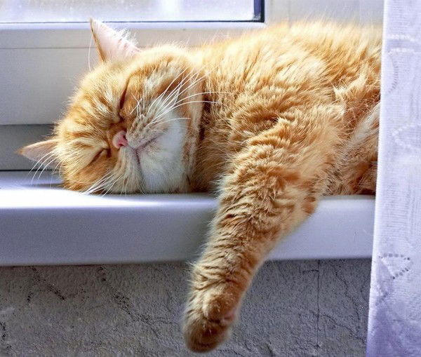 Марина Демина