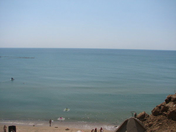 Марина Полякова