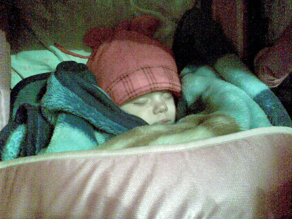 Елена Чепурнова