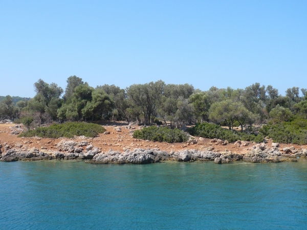 Нина Киселева