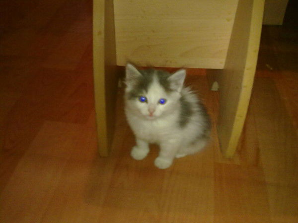 Алданыш Рымхан