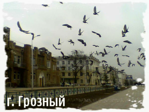 Умар Сулейманов