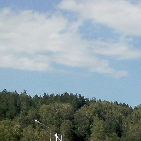 Светлана Курсаева