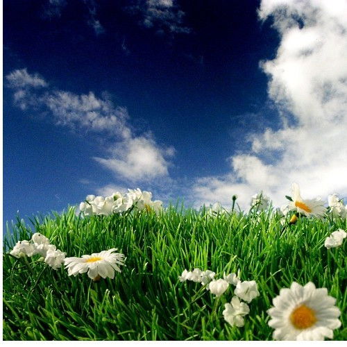 Elene-K Ковалева