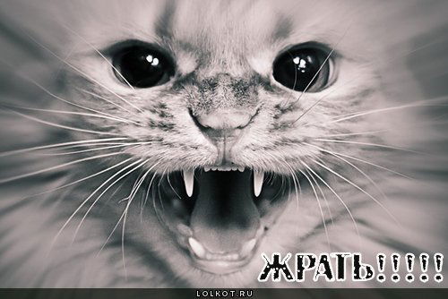 Лев Тартаковский