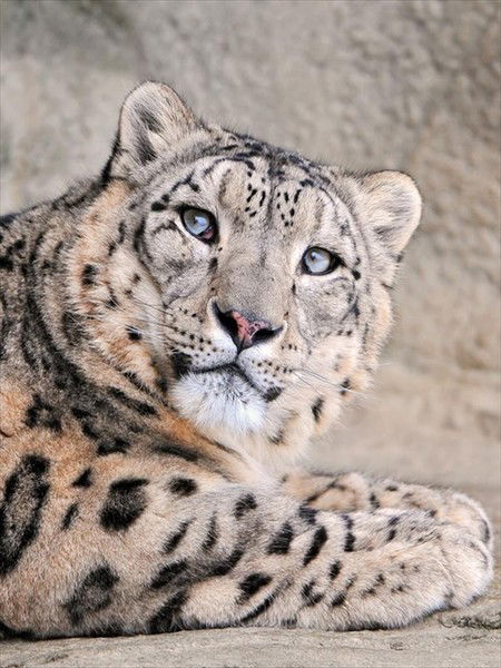 @ Катерина @