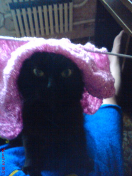 Василий Галушка