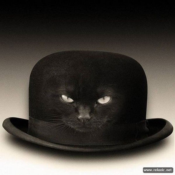 Проще Некуда