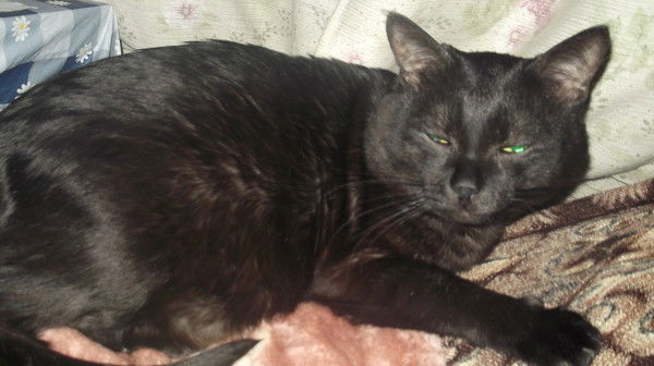 Владимир Гилев