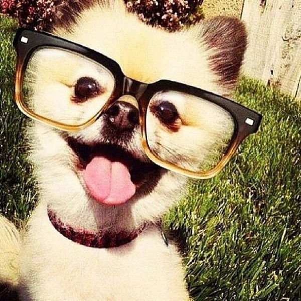 Даша Мерзлякова