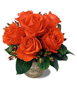 Елена Гусарова