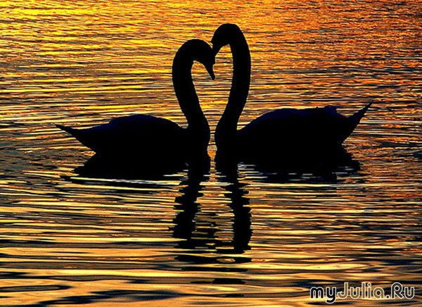 Даша Сосулина