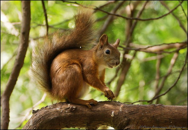 Татьяна Ерофеева