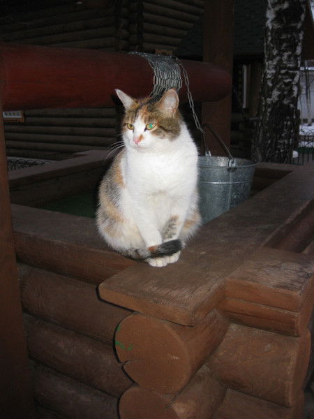 Мария Попова