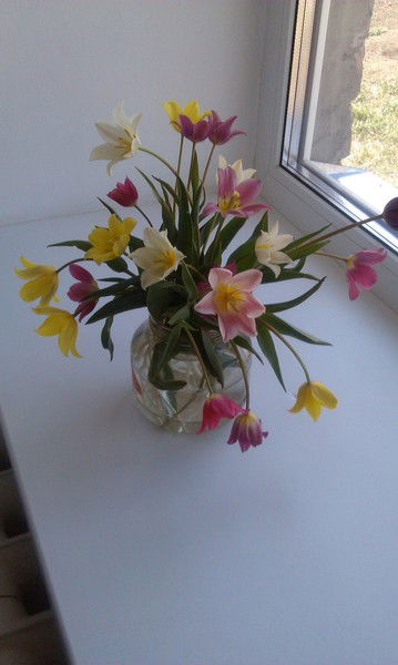 Нургуля *******