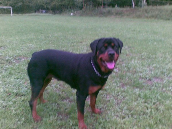 Данил Иванов