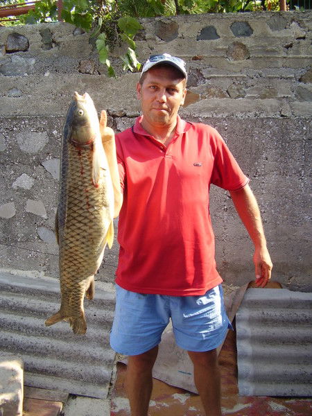 Дмитрий Пышный