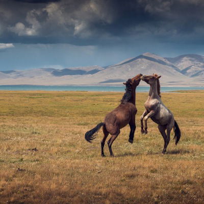 Денис Кудрин