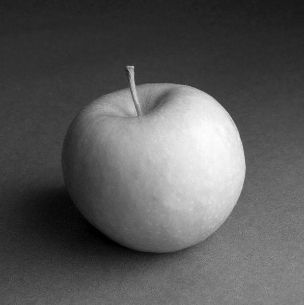 Вероника Кудрина