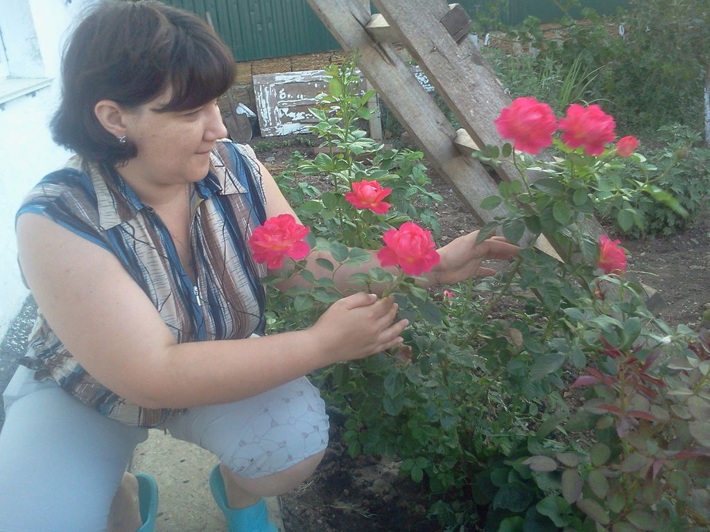 Наташа Зайдман