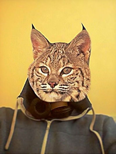 Николай Рысь