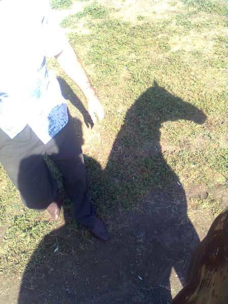 Александр Немолочнов