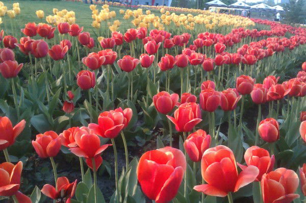 Екатерина Гапеева